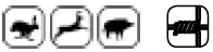 Ursus   ,    .      Betafence   