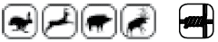 Ursus   ,    .      Betafence   